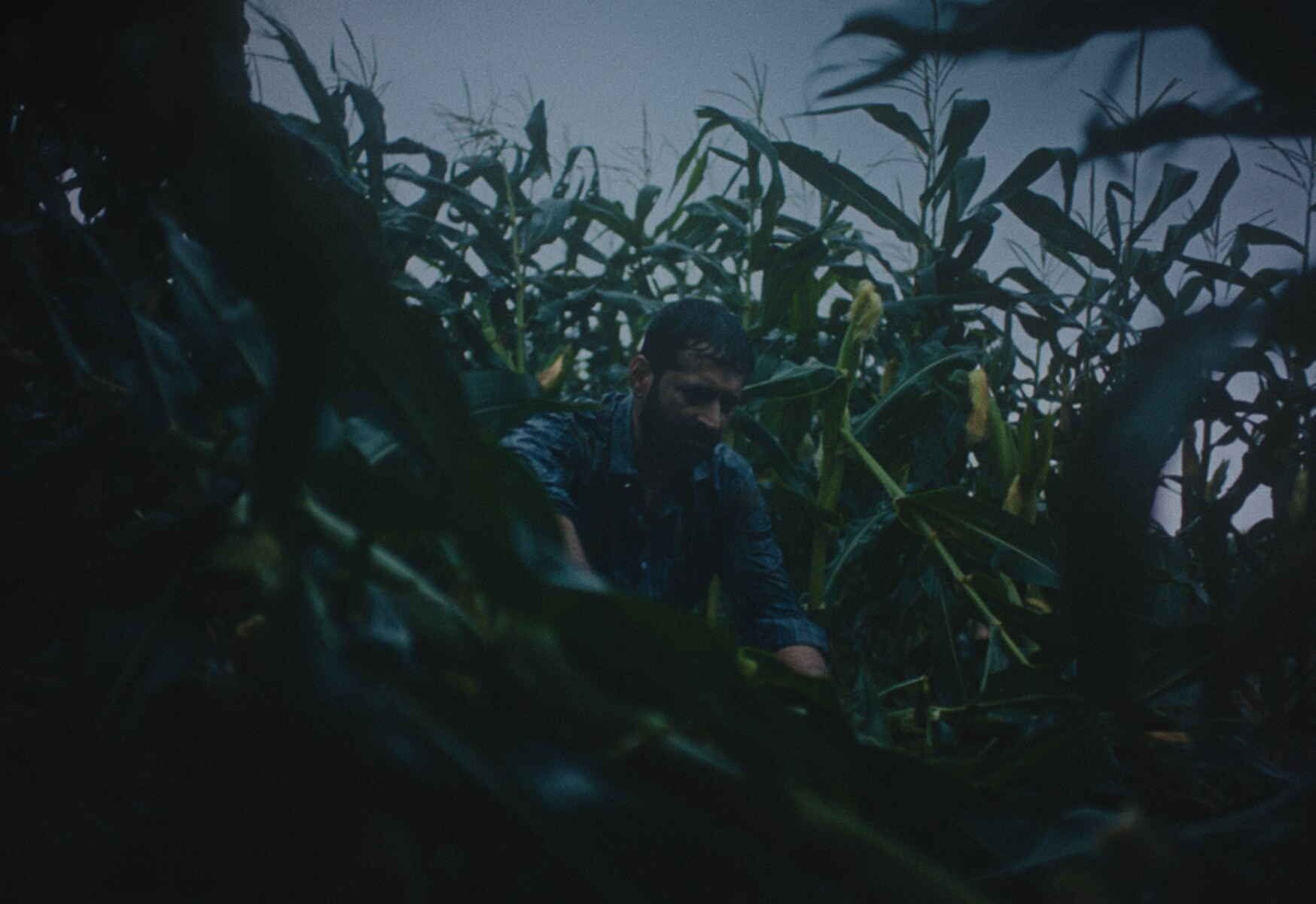 Documentary — 01